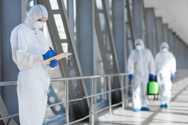 Best Mold Documentation for Insurance Claims  in Bellefontaine, OH