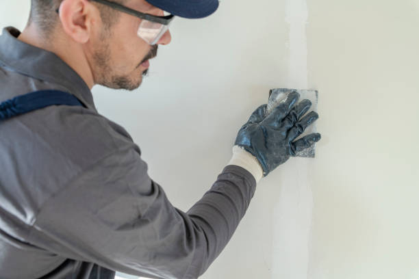 Best Real Estate Mold Inspection  in Bellefontaine, OH