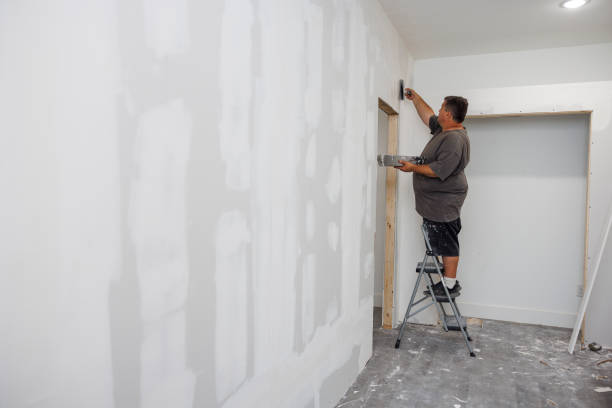 Best HVAC Mold Inspection and Cleaning  in Bellefontaine, OH