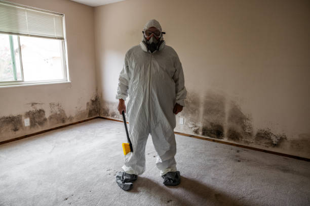 Best Residential Mold Inspection & Testing  in Bellefontaine, OH