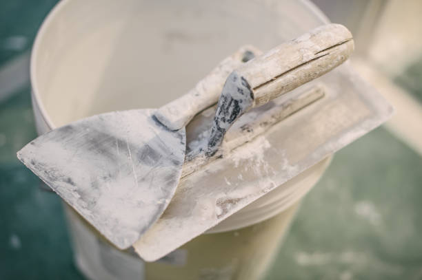 Best Attic Mold Removal  in Bellefontaine, OH