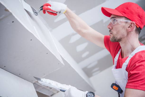 Best Water Damage & Mold Remediation  in Bellefontaine, OH